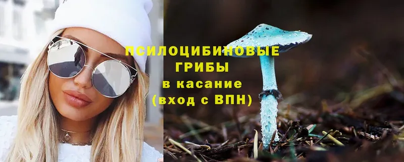 Галлюциногенные грибы Magic Shrooms  ссылка на мегу ССЫЛКА  Закаменск 